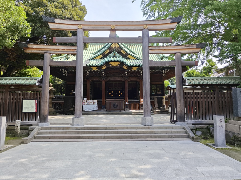 Image 5